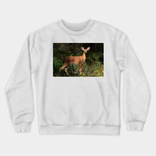 Fawn Times - White-tailed deer Crewneck Sweatshirt